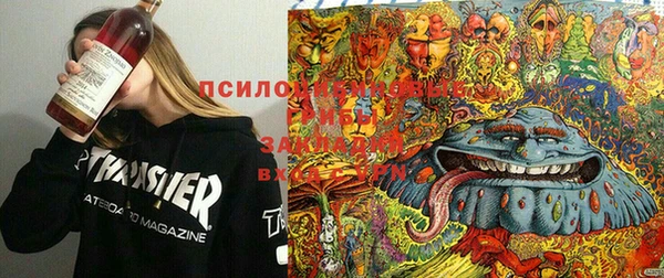 MDMA Каменногорск