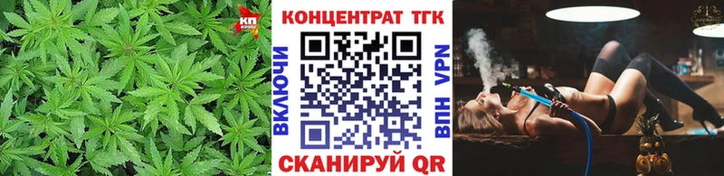 Купить где  Енисейск  ТГК гашишное масло 