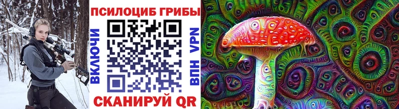 Псилоцибиновые грибы ЛСД  Купить закладки  Енисейск 